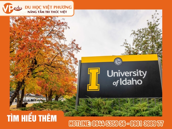 Du học Mỹ tại University of Idaho: Đại học Công Lập Hàng Đầu Mỹ