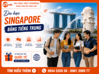 Du Học Singapore Bằng Tiếng Trung: Lộ Trình Business Quốc Tế