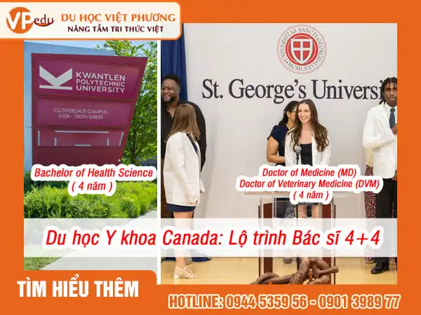 Du học Y khoa Canada: Chương trình Pathway 4+4 KPU - SGU hoạt động như thế nào?